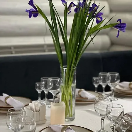 Michelle's Mizhhirya (Transcarpathia)