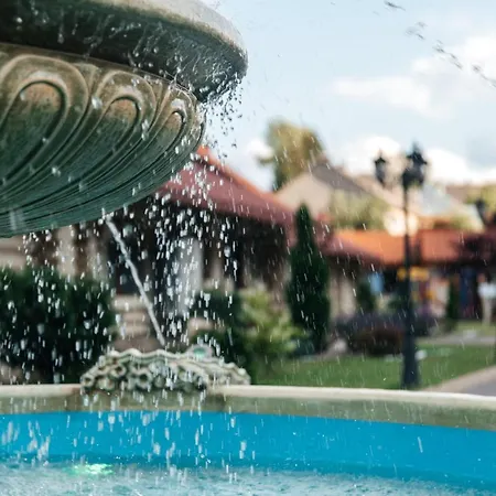 Michelle's Hotel Mizhhirya (Transcarpathia)